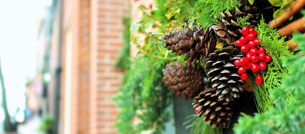 Pinecones in greenery on brick wall