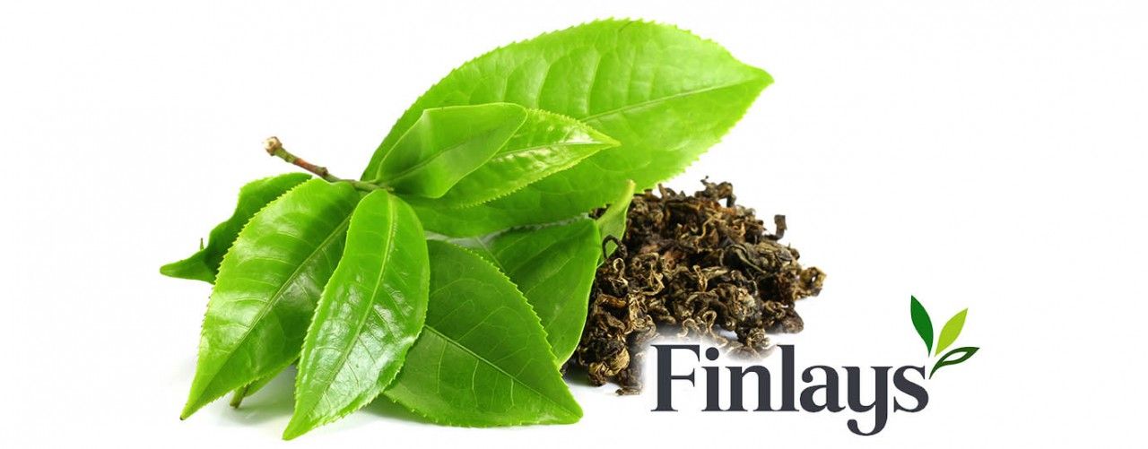 Finlays logo with leaf bundle