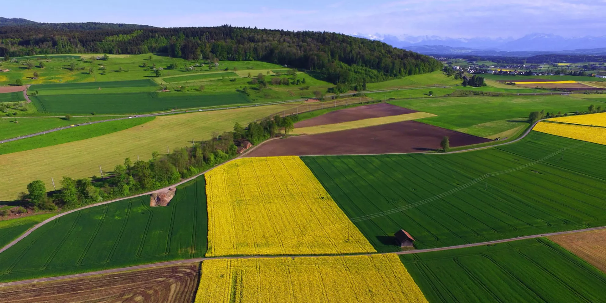 Aerial view of farmland