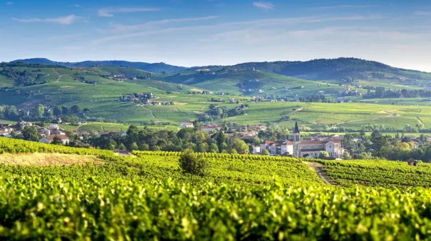 Panoramic landscape of vineyards and villages of Fleurie and Villié Morgon, Beaujolais, France