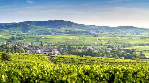 Panoramic landscape of vineyards and villages of Fleurie and Villié Morgon, Beaujolais, France