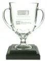 monitoring award june 2020
