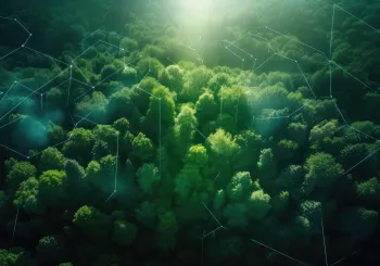 Aerial view of green forest in summer at dawn with glowing technological communication lines, created with Generative AI.