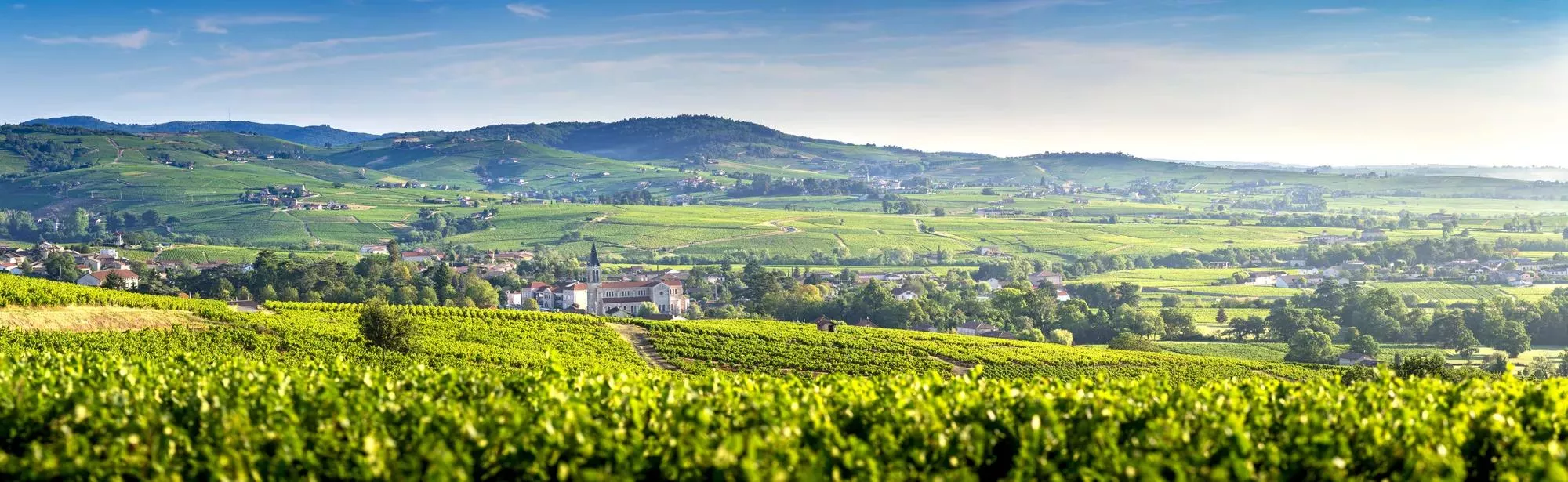 Panoramic landscape of vineyards and villages of Fleurie and Villié Morgon, Beaujolais, France
