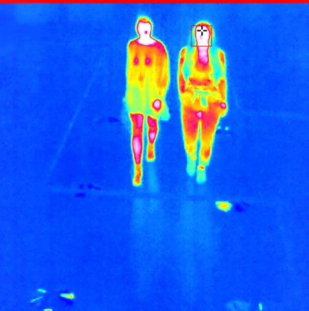 Thermal imaging detection of two people