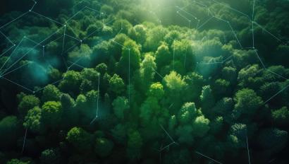Aerial view of green forest in summer at dawn with glowing technological communication lines, created with Generative AI.