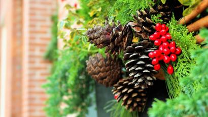 Pinecones in greenery on brick wall