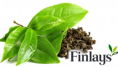 Finlays logo with leaf bundle